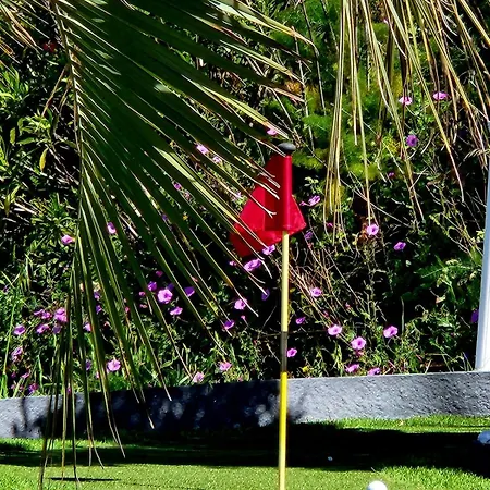 Avec Piscine Et Mini-golf